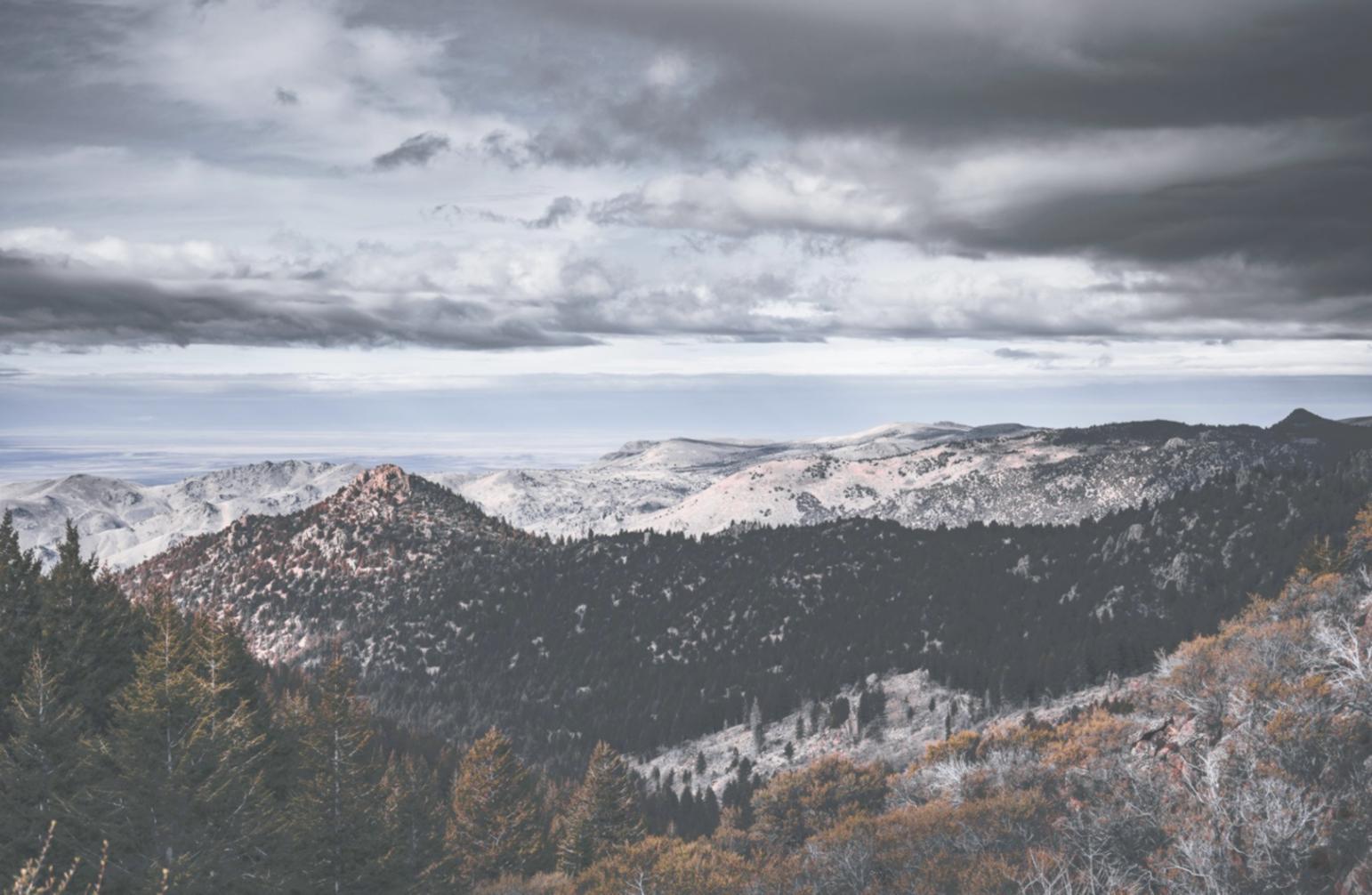 Студенти обговорюють деталі туристичного проєкту за столом